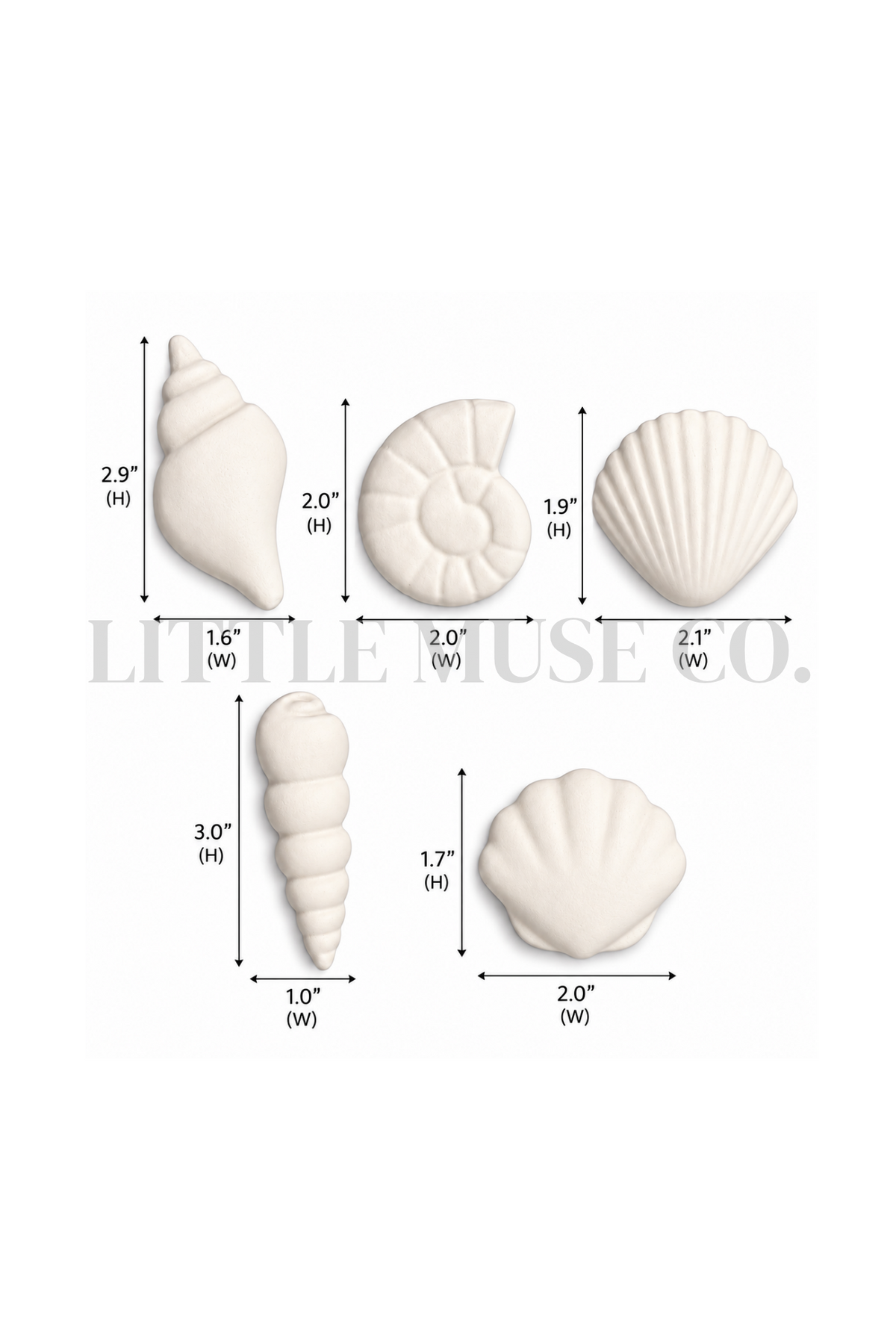 Seashell Cottage Paint-Your-Own Kit