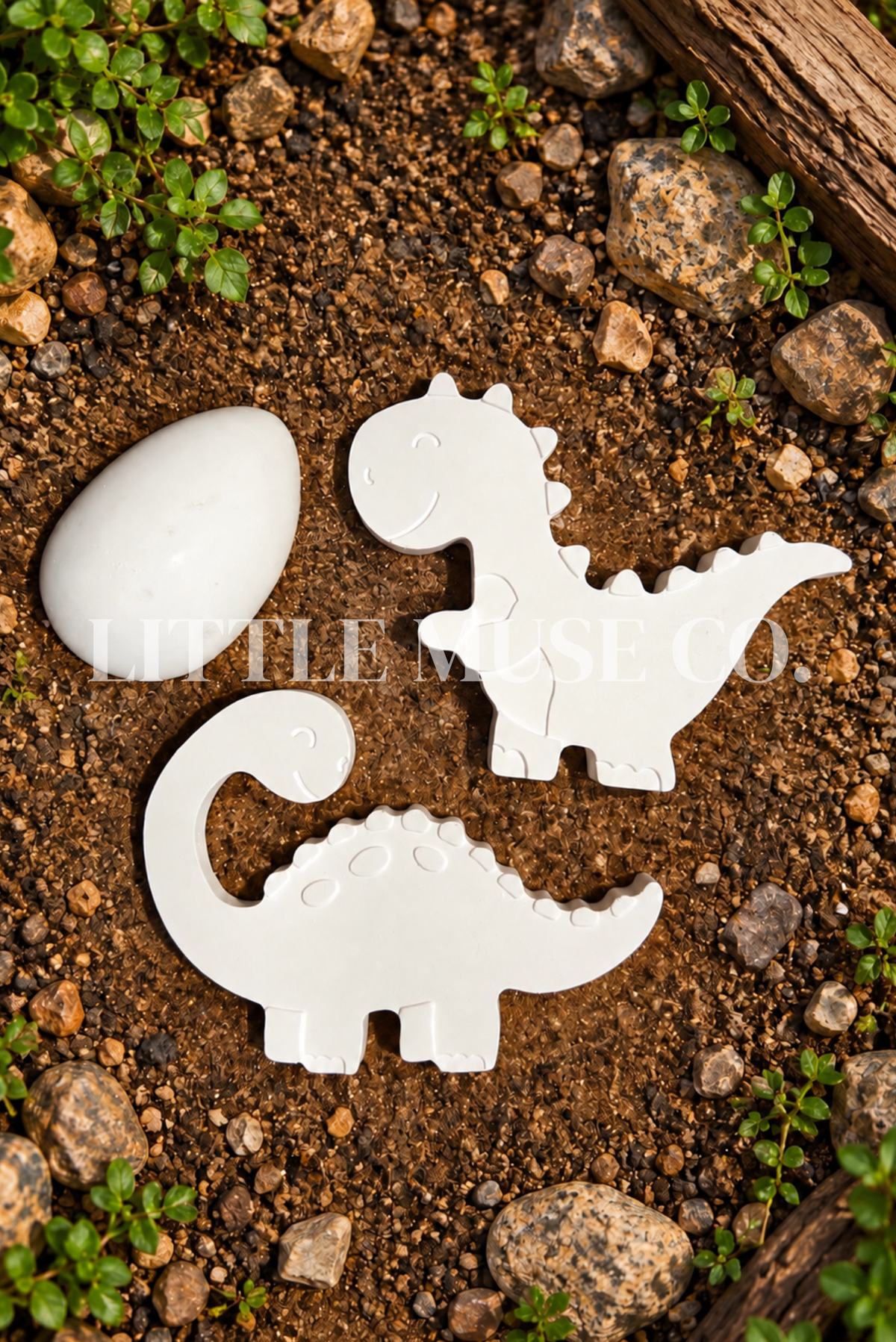 Roar & Explore Paint-Your-Own Kit