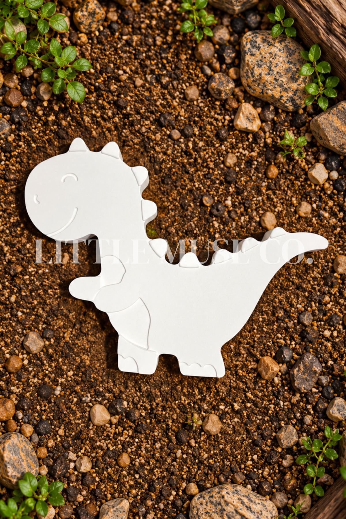 Roar & Explore Paint-Your-Own Kit